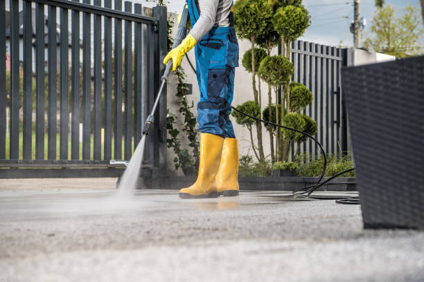 Best Solar Panel Cleaning  in Savannah, GA