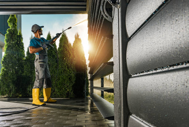 Best Roof Washing  in Savannah, GA