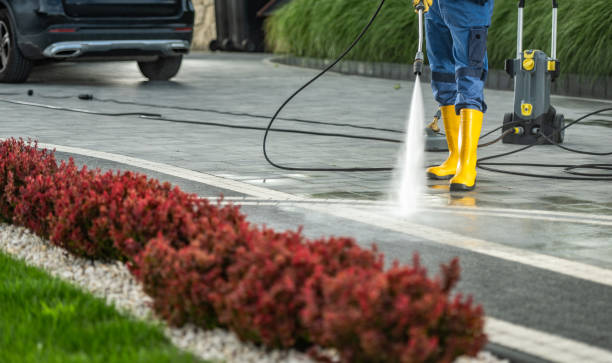 Best Driveway Pressure Washing  in Savannah, GA